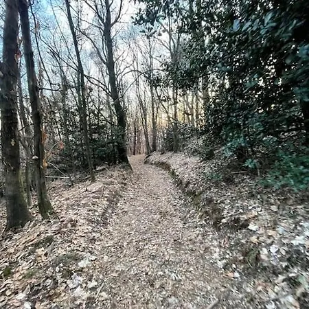 Shabby Chic Bilocale Zero Smog