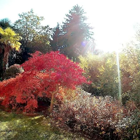 Apartamento Shabby Chic Bilocale Zero Smog