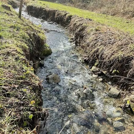 Shabby Chic Bilocale Zero Smog Apartmán Tavernerio